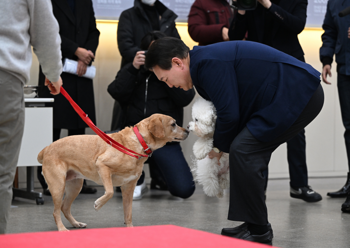 ▲윤석열 대통령이 24일 경기도 용인 삼성화재 안내견 학교에서 분양받은 은퇴 안내견 '새롬이'에게 반려견 '써니'를 인사시키고 있다. (연합뉴스)
