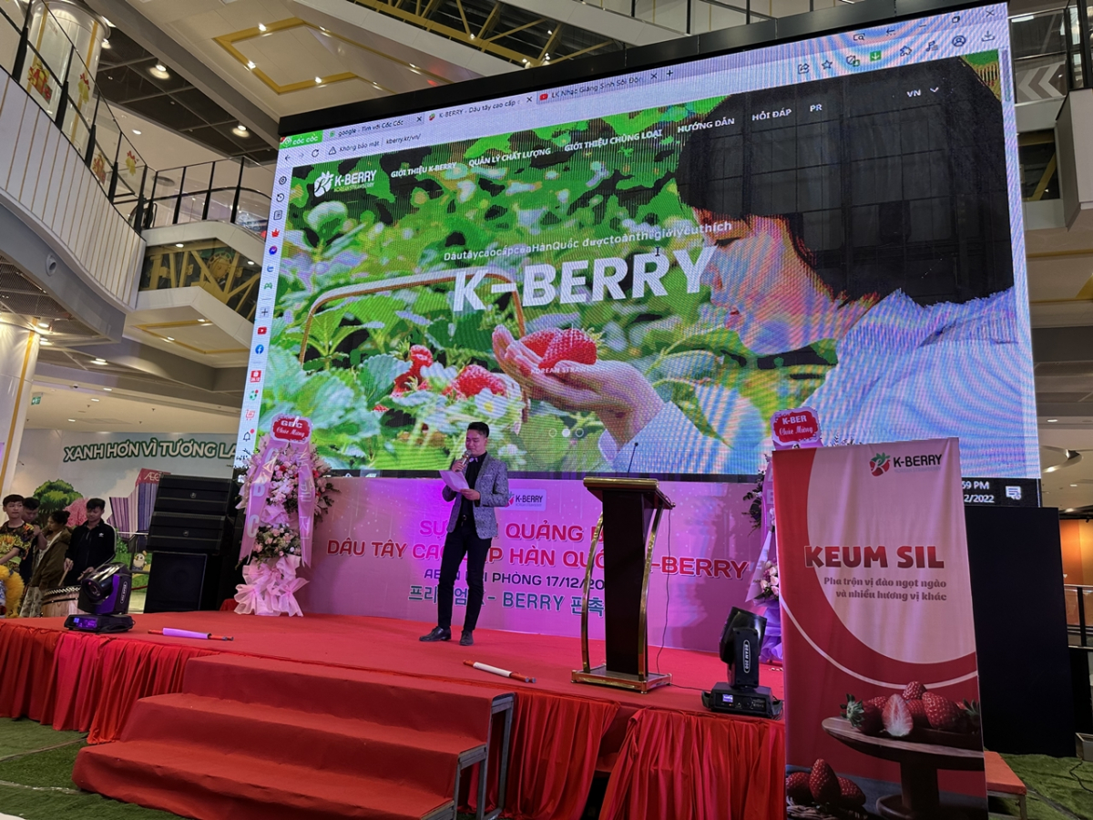 ▲이달 16일 베트남 하노이에서 열린 '한국산 프리미엄 딸기 론칭 쇼' (사진제공=한국농수산식품유통공사(aT))