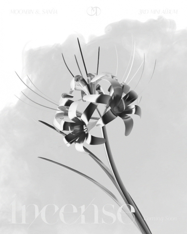 ▲아스트로 문빈&산하(사진 = 판타지오 제공)