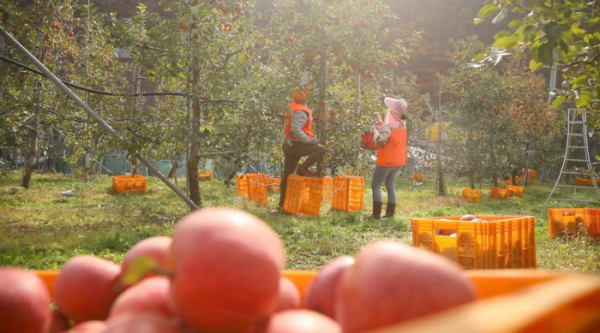 ▲'동물극장 단짝'(사진제공=KBS 1TV)