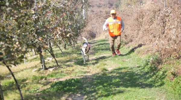 ▲'동물극장 단짝'(사진제공=KBS 1TV)