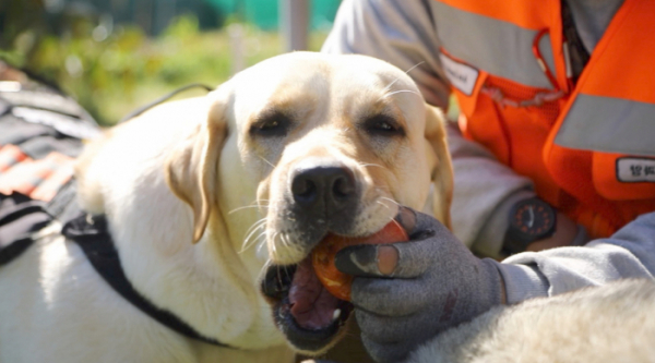 ▲'동물극장 단짝'(사진제공=KBS 1TV)