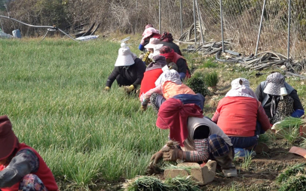 ▲'극한직업'(사진제공=EBS1)