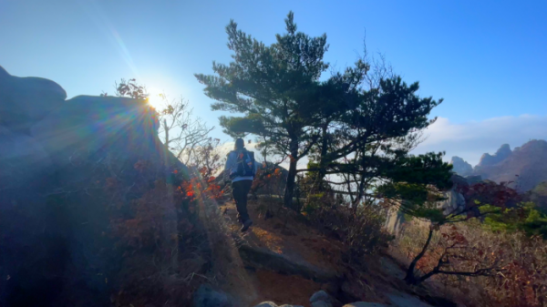 ▲'영상앨범 산'(사진제공=KBS 2TV)