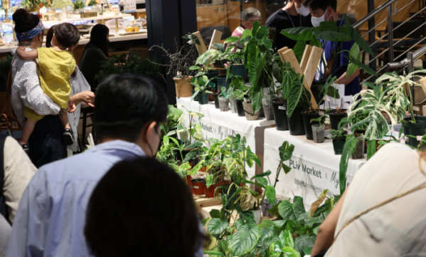 ▲희귀식물 판매 행사에서 희귀 식물을 구매하려는 시민들로 붐비고 있다. (연합뉴스)