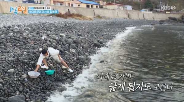 ▲김종민이 울릉도 바다 미꾸라지 잡이 체험에 나섰다.(사진=KBS 방송화면 캡처)