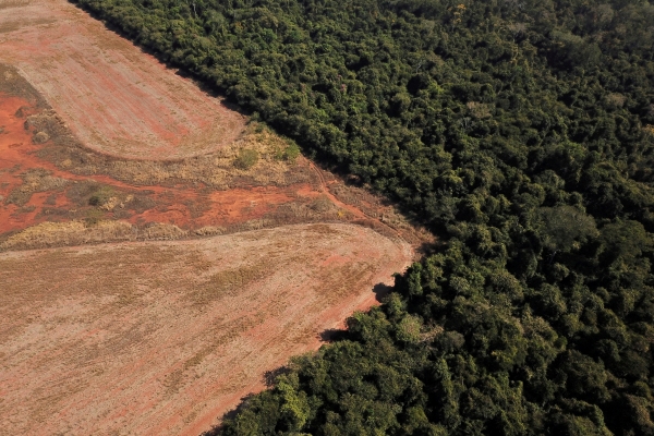 ▲브라질의 숲에서 개간 작업이 벌어지고 있다. 로이터연합뉴스 
