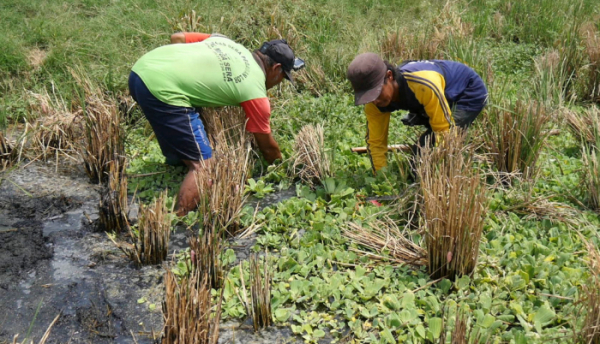 ▲'극한직업'(사진제공=EBS1)