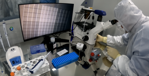 ▲지난달 방한한 추마코프 연구소 연구팀이 세포 배양을 위한 준비작업을 진행하고 있다. (사진 제공=지더블유바이텍)