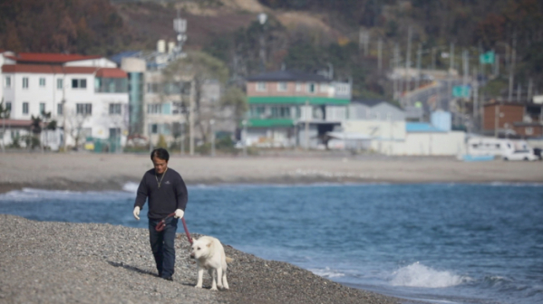 ▲'동물극장 단짝'(사진제공=KBS 1TV)