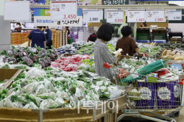 ▲소비자물가 상승세가 둔화했으나 8월 먹거리 물가는 상승하면서 13년 4개월만에 최고치를 기록했다. 5일 서울 시내의 한 대형마트에서 시민들이 장을 보고 있다. 이날 통계청 국가통계포털에 따르면 지난달 먹거리 물가는 1년 전보다 8.4% 상승했다. 이는 2009년 4월(8.5%) 이후 13년 4개월 만에 최고 상승률로 2020년 가중치를 기준으로 집계했을 때 8월 먹거리 물가 지수는 113.57 기록했다. 조현호 기자 hyunho@ (이투데이DB)