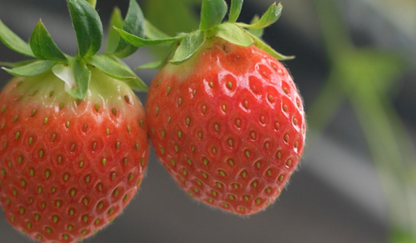 ▲'한국기행'(사진제공=EBS1)