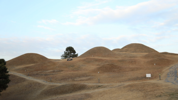▲'동네 한 바퀴' 대구(사진제공=KBS 1TV)