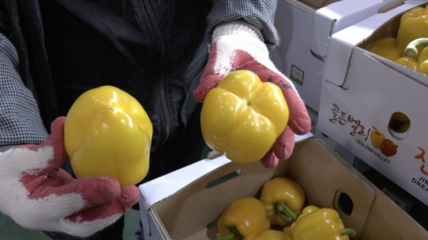 ▲'극한직업'(사진제공=EBS1)