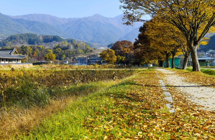 (이현숙 여행작가)