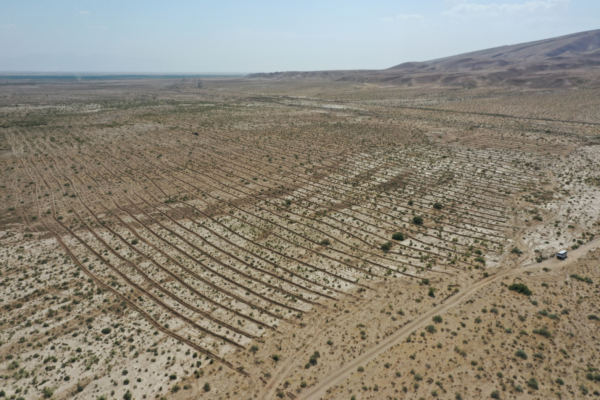 ▲타지키스탄 싹사울 조림지 전경 (사진제공=산림청)
