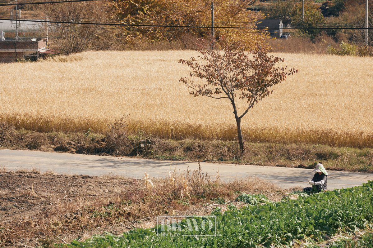 ▲북스테이산책 외부 전경(이소망 프리랜서)