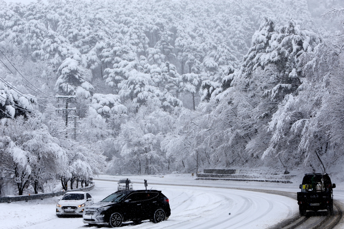 ▲15일 오전 대설주의보가 발효 중인 강원 강릉시 성산면 대관령 고갯길에 시간당 2~3㎝ 가량의 폭설이 쏟아지고 있다. (뉴시스)