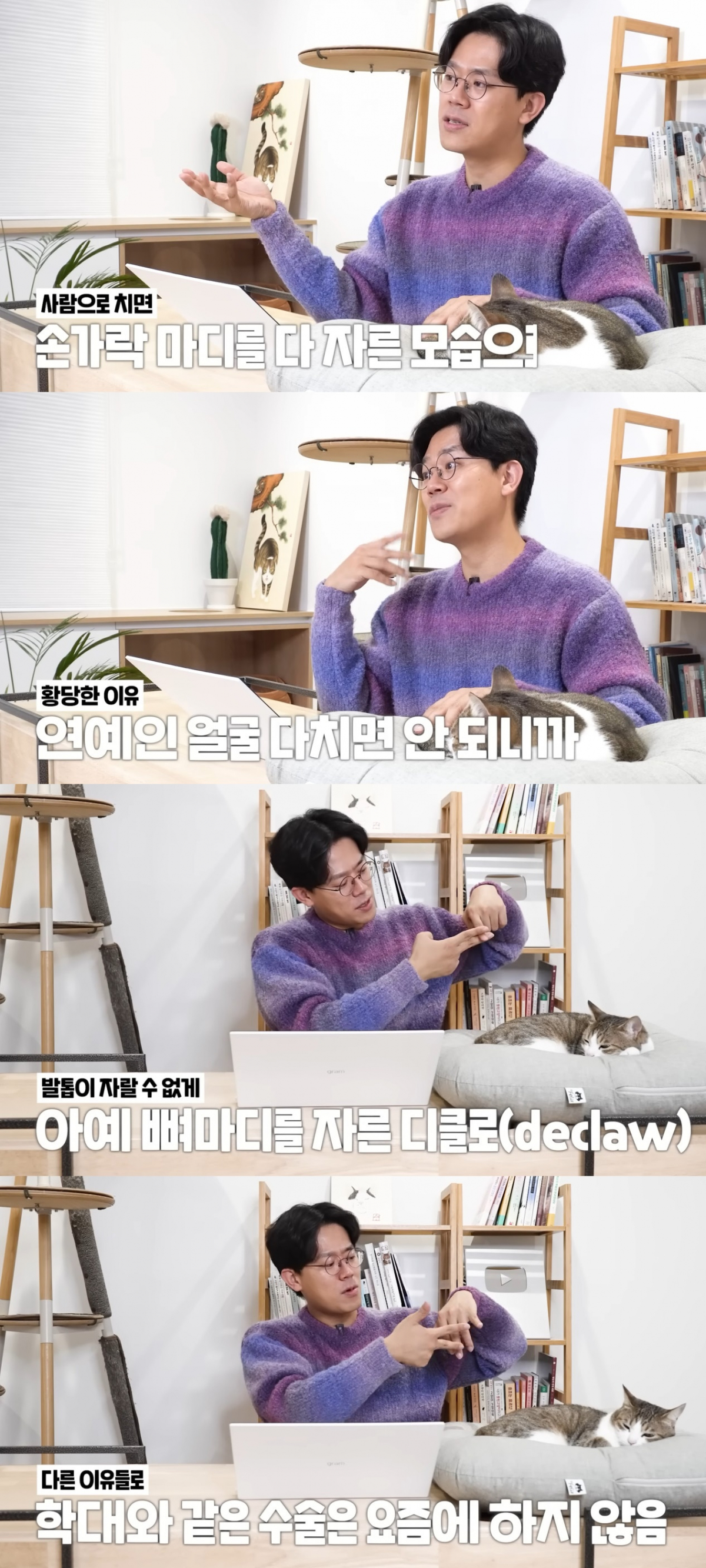 (출처=유튜브 채널 '미야옹철의 냥냥펀치' 캡처)