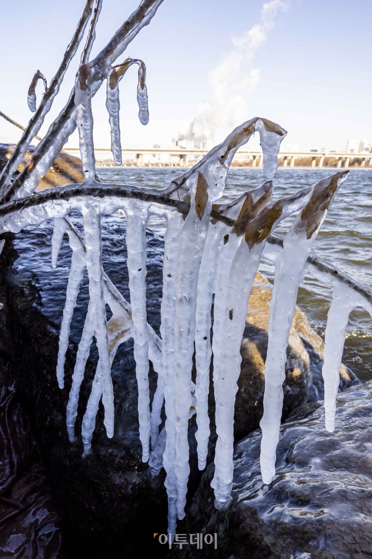 (조현호 기자 hyunho@)
