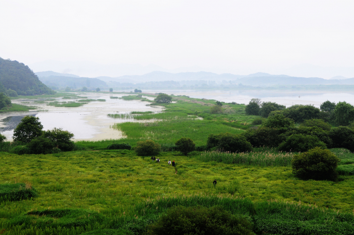 ▲경남 창녕 우포늪 (뉴시스)