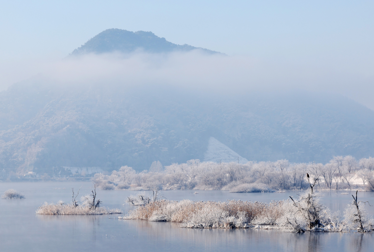 ▲30일 강원 춘천시 소양강에 상고대가 활짝 펴 있다. (연합뉴스)