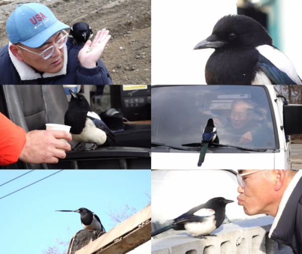 ▲'TV동물농장'(사진제공=SBS)