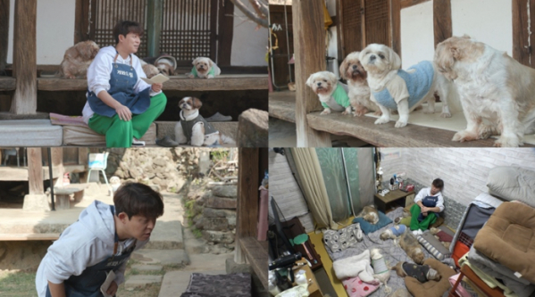 ▲'TV동물농장'(사진제공=SBS)