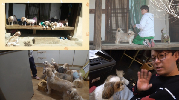 ▲'TV동물농장'(사진제공=SBS)