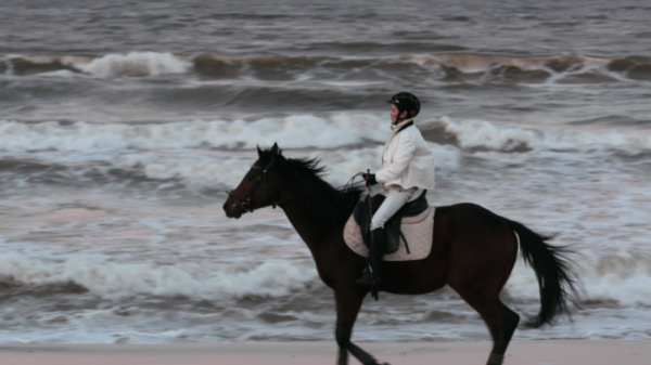 ▲'박원숙의 같이 삽시다' 포항(사진제공=KBS 2TV)