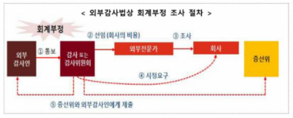 (사진 제공=금융감독원)