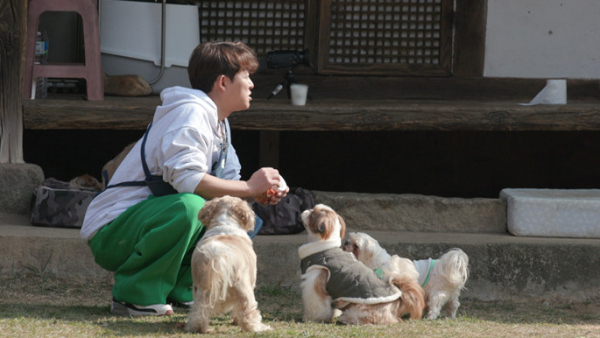 ▲'TV동물농장'(사진제공=SBS)