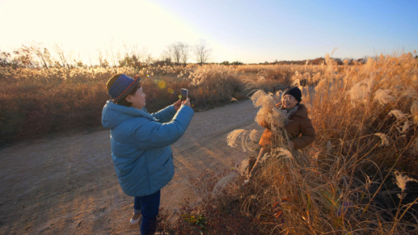 ▲'박원숙의 같이 삽시다'(사진제공=KBS 2TV)