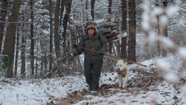 ▲'동물극장단짝'(사진제공=KBS 1TV)
