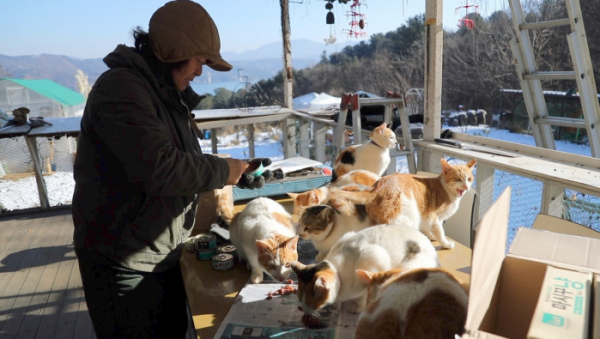 ▲'동물극장단짝'(사진제공=KBS 1TV)