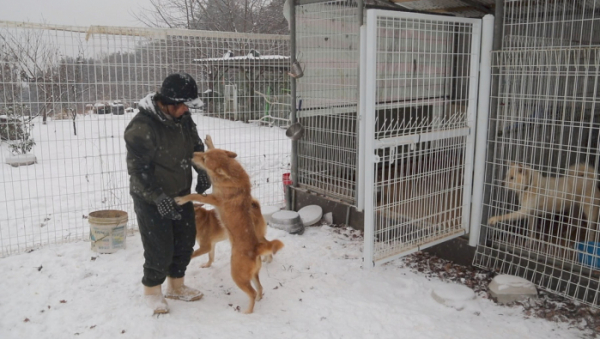 ▲'동물극장단짝'(사진제공=KBS 1TV)