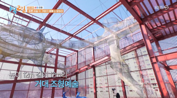 ▲'1박 2일' 영월(사진=KBS2 방송화면 캡처)