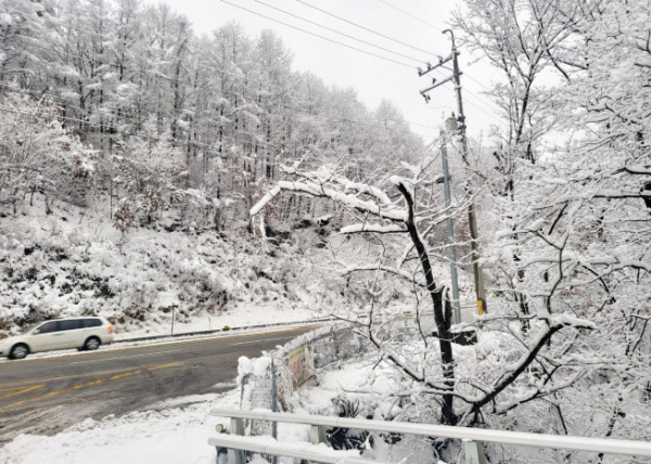 ▲15일 오후 강원 화천군 화천읍 부다리 터널 인근에 많은 눈이 수북이 쌓여 있다 (연합뉴스)