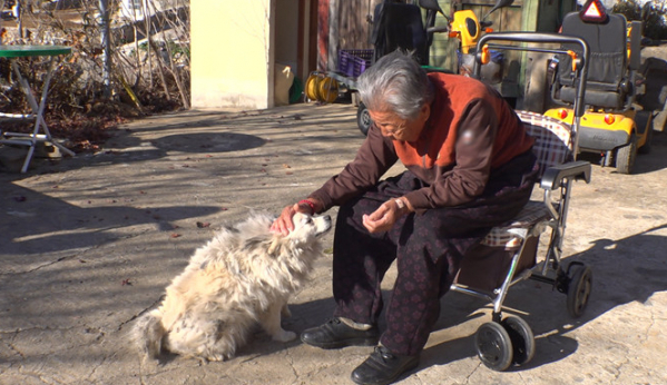 ▲'TV동물농장'(사진제공=SBS)