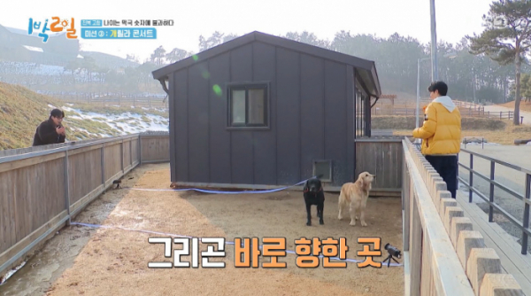 ▲'1박2일' 고창 (사진=KBS 방송화면 캡처)