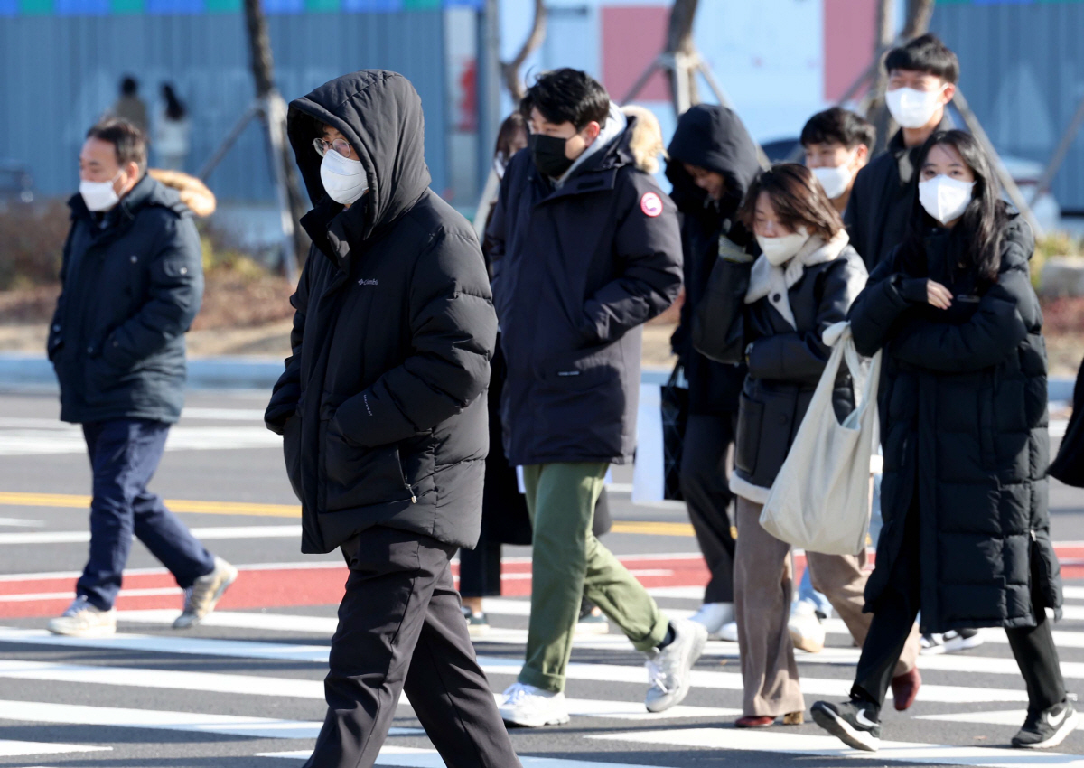 ▲신태현 기자 holjjak@