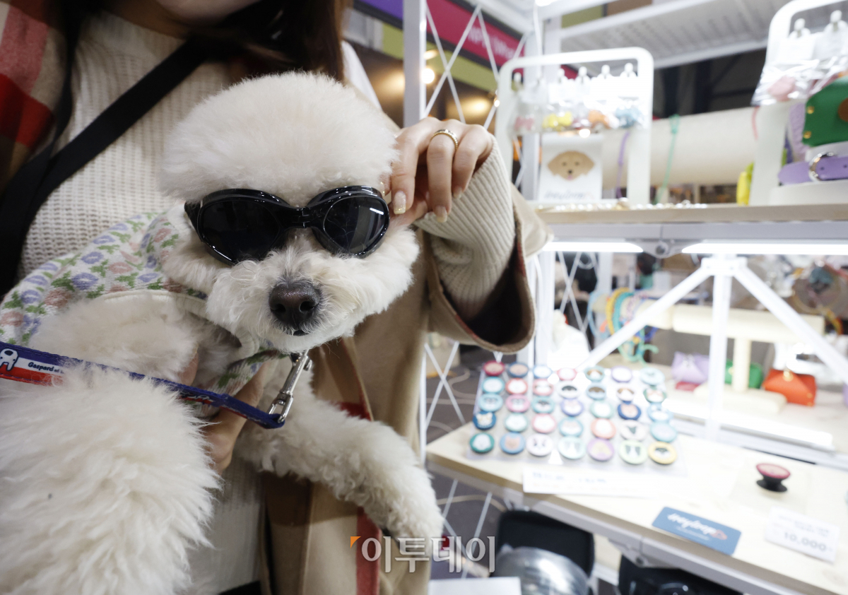 (조현호 기자 hyunho@)