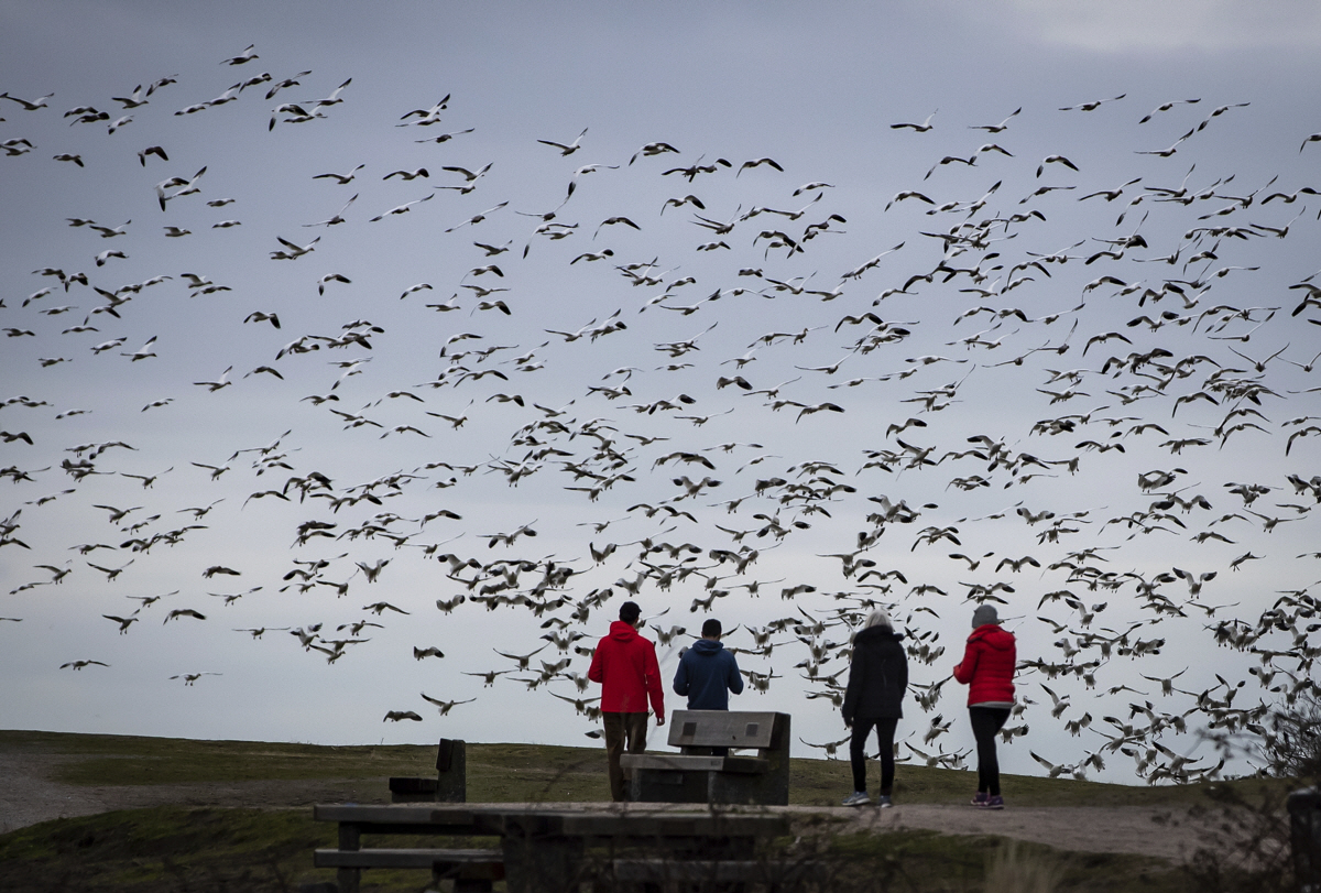 ▲사진은 기사 내용과 직접적인 관계 없음(AP/뉴시스)
