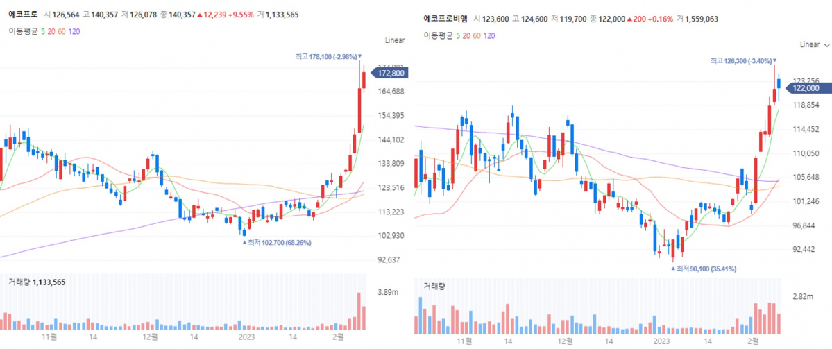 ▲에코프로, 에코프로비엠 일봉 차트 (네이버 증권)