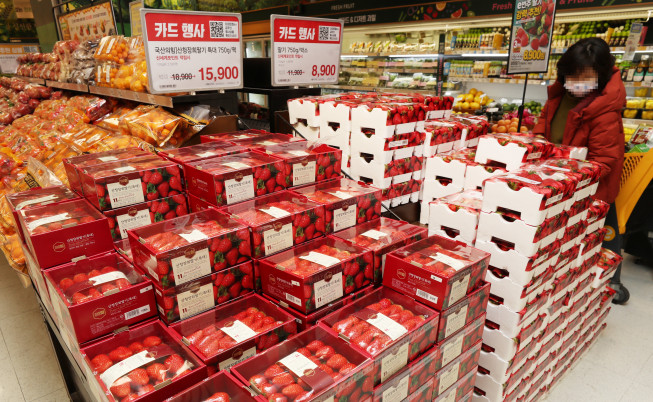 ▲이마트가 16일부터 22일까지 7일간 ‘국산의 힘’ 스마트팜 딸기와 장희·금실·죽향 등 프리미엄 딸기에 대해 신세계 포인트 적립 시 20% 할인 판매하는 행사를 진행한다. (사진제공=이마트)