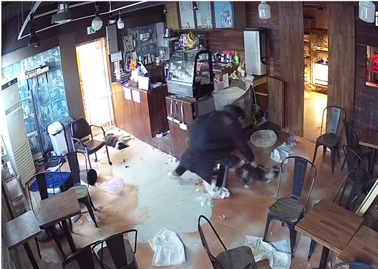 ▲A씨가 서울 마포구 소재 동물 카페에서 강아지를 학대하는 장면.  (출처=서울시)