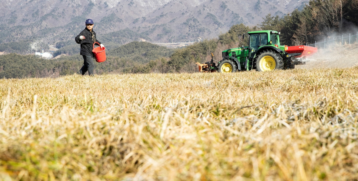 ▲경남 함양군 농촌진흥청 국립축산과학원 가축유전자원센터에서 초지에 비료를 주고 있다. (뉴시스)