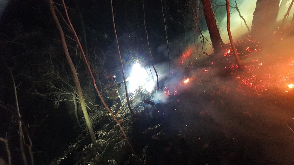 ▲경북 안동시 임동면 사월리에 있는 한 야산에서 산불이 발생했다. (연합뉴스)