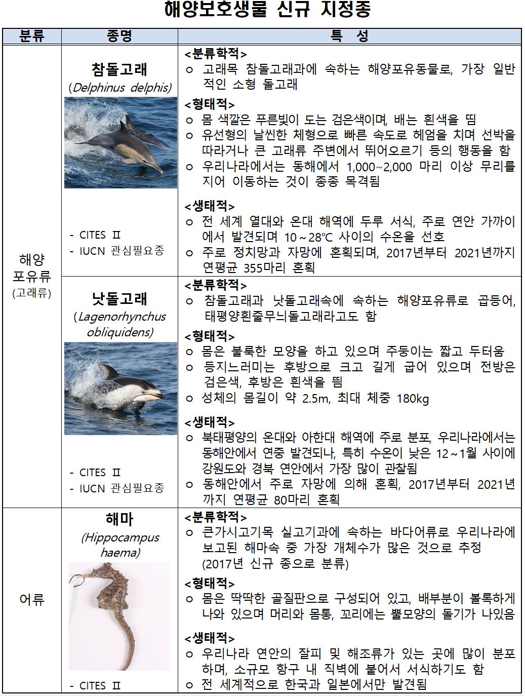 ▲참돌고래, 낫돌고래, 해마 등 3종 해양보호생물 3종 신규 지정. (사진제공=해양수산부)