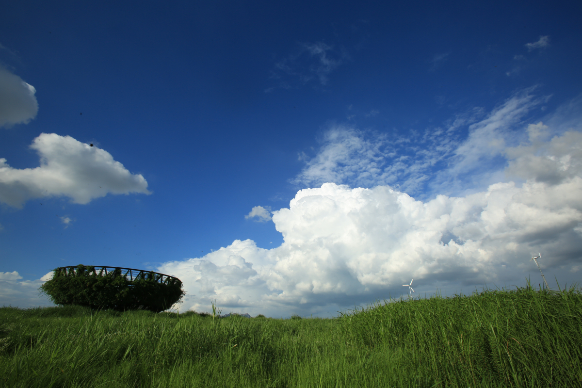 ▲서울 마포구 월드컵 공원의 전경. (자료제공=서울시)